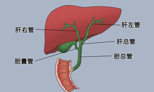 儿童肠胃不好吃饭就吐怎么调理-儿童肠胃不好嘴巴臭怎么办,中国儿童肠胃不好吃饭就吐网站